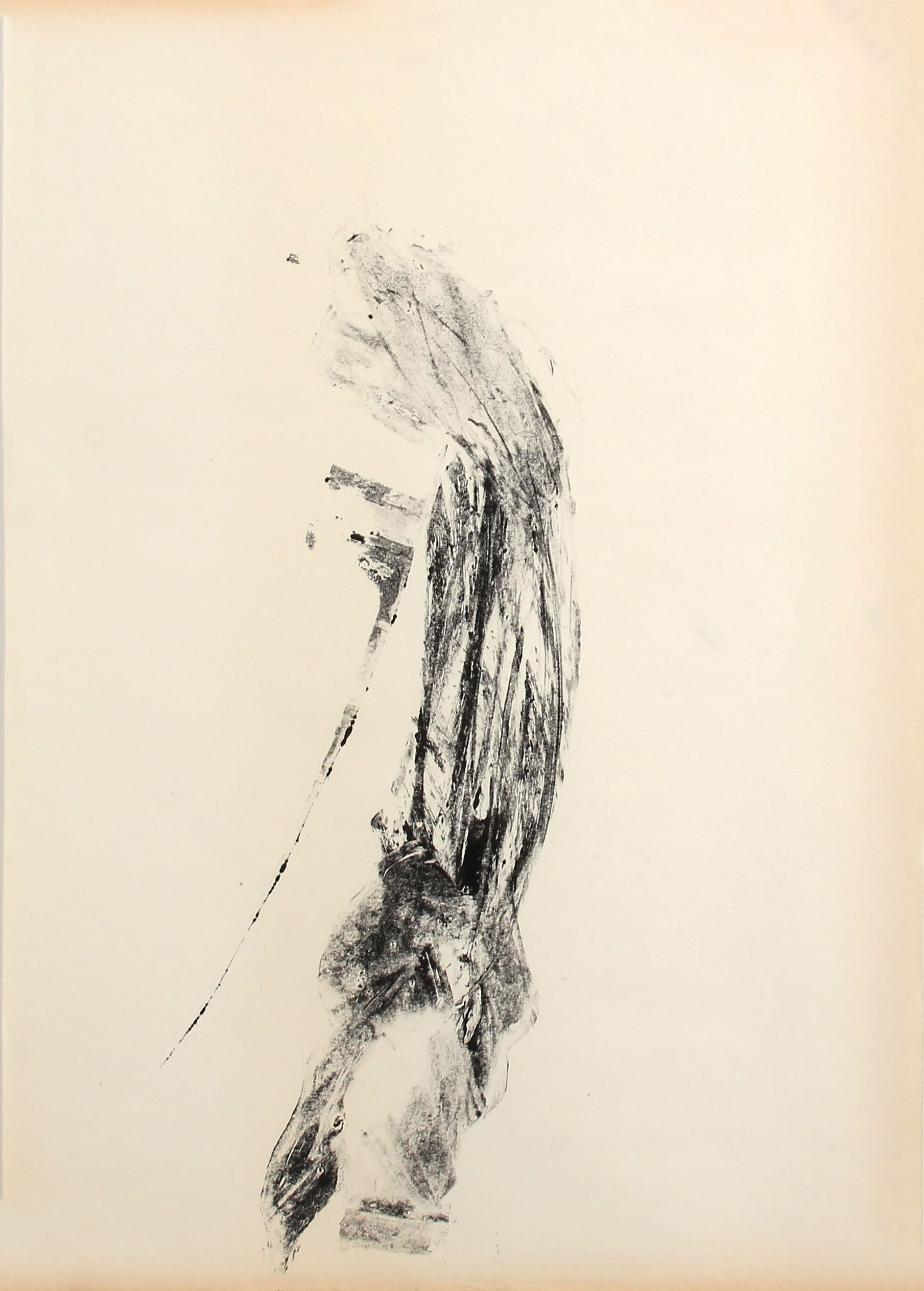 Torso 4