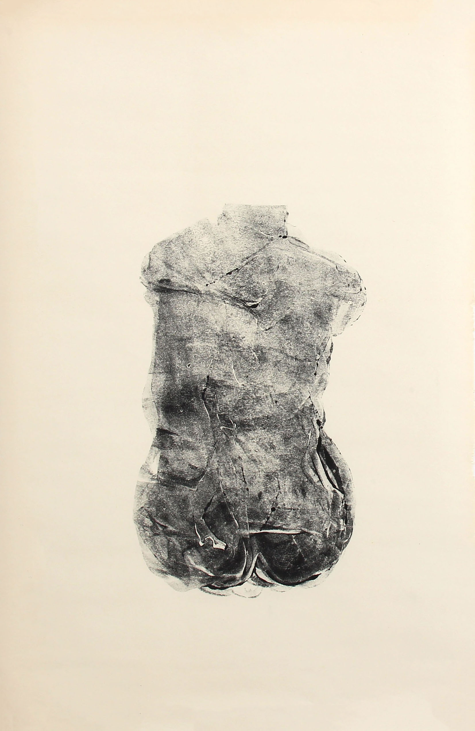 Torso 5
